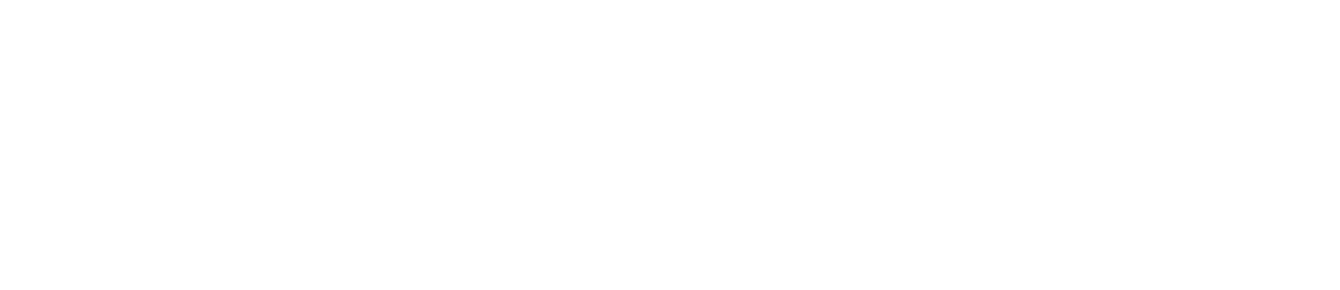 Nuordic Lighting Company logo